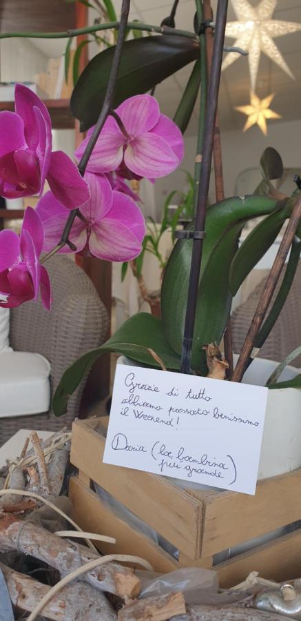 hotel lisà Viareggio Esterno foto